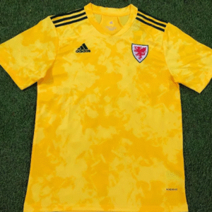 Wales 2020 Away Jersey